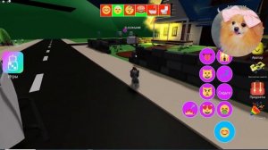 КАКАЮЩИЕ КОТИКИ БОЛЬШЕ НЕ МОГУТ КАКАТЬ ! НОВАЯ ВЕЧЕРИНКА КОТИКОВ  В РОБЛОКС ! PET PARTY ROBLOX