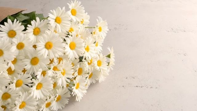 Подарю тебе ромашек я большой букет смотреть онлайн