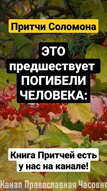 Берегись этого - Это предшествует погибели человека! смотреть онлайн