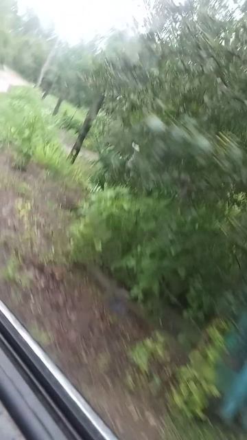 VID_20250720_111950.mp4