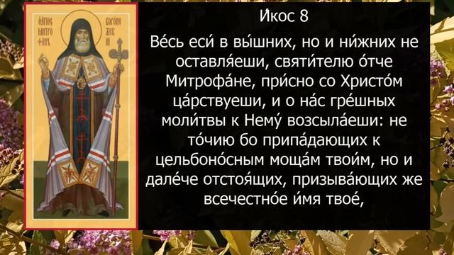 АКАФИСТ СВЯТОМУ МИТРОФАНУ ВОРОНЕЖСКОМУ смотреть онлайн