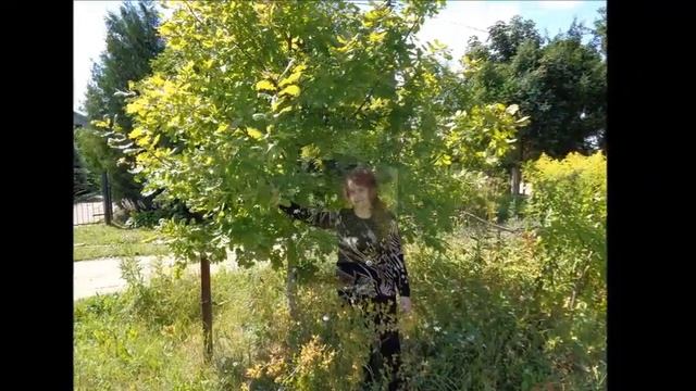 Неземная Автор Михаил Дмитриенко музыка и поют Братья Егоровы смотреть онлайн