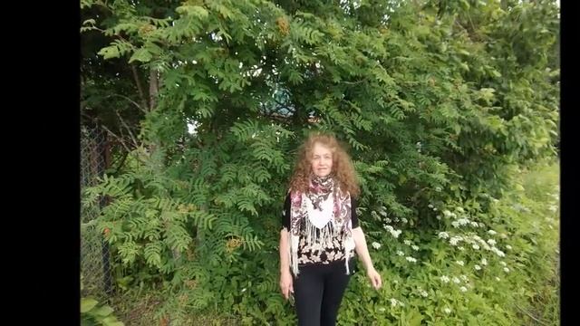 Дамочка зажигалочка - Автор Анатолий Мякушкин музыка и поёт Алмас Багратиони смотреть онлайн