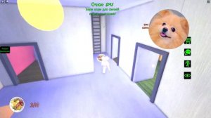 ГОЛОДНЫЕ ПЕППЫ НАПАЛИ В РОБЛОКС ! ОНИ ХОТЯТ МЕНЯ СЪЕСТЬ PEPPA PIG В ROBLOX