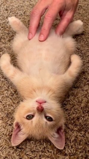 Прекрасного выходного