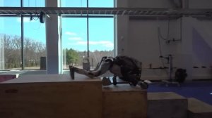 Boston Dynamics: от военных заказов до танцующих роботов