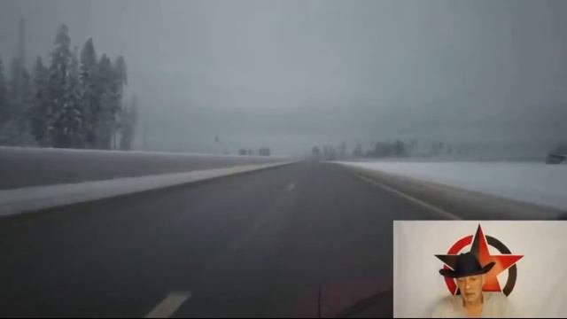 Этология и Психология : Что мы прячем от самих себя (R)