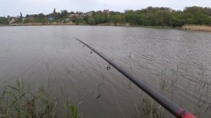 Рыбалка! ЛОВЛЯ САЗАНА, МЕРТВЫЙ  ДОНЕЦ!