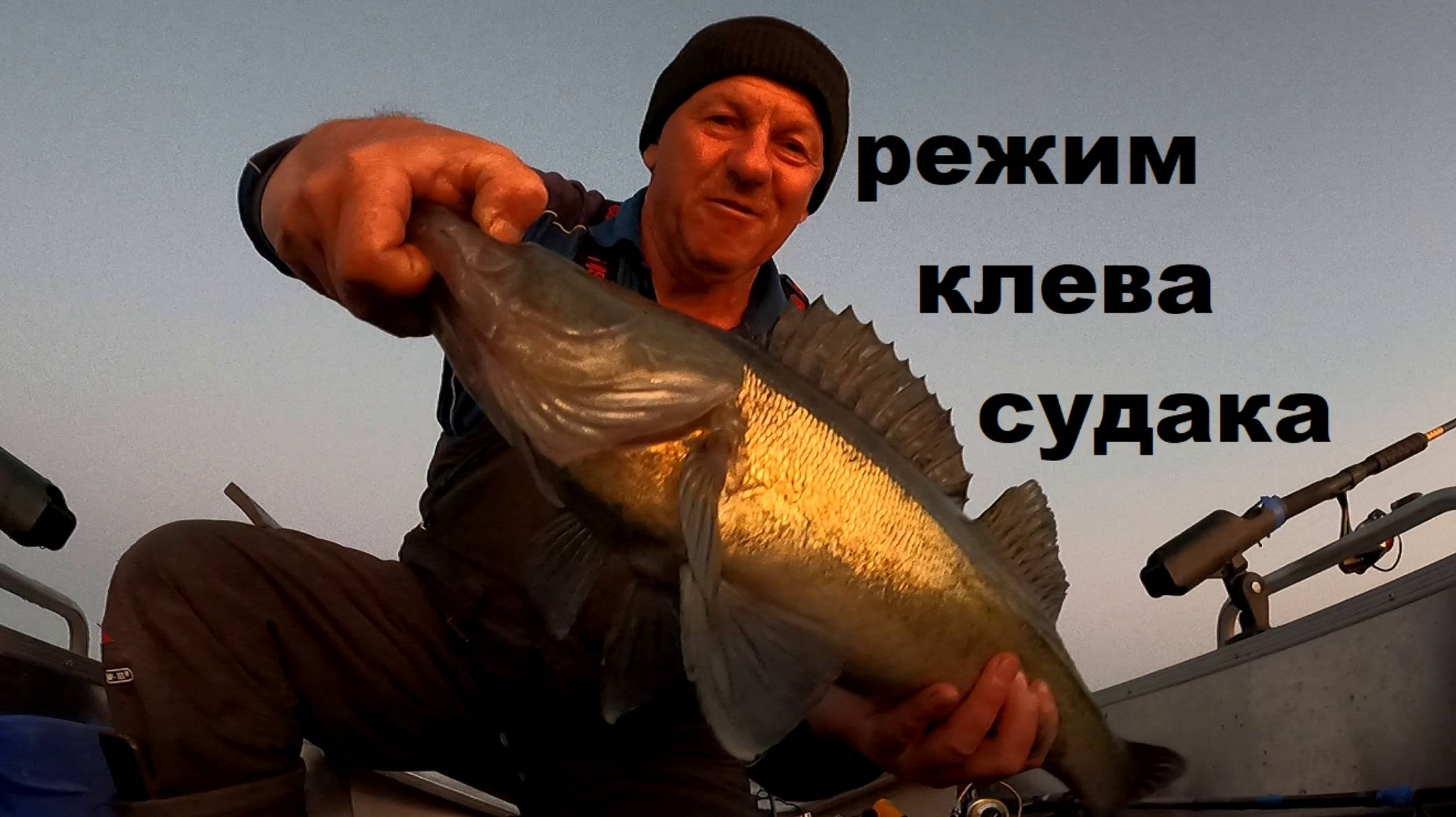 режим клева судака в условиях летней жары. смотреть онлайн