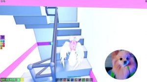 БОЛЬНИЦА ДЛЯ ЖИВОТНЫХ В РОБЛОКС | ЛЕЧУ КОТИКОВ И ПЕСИКОВ | ROBLOX