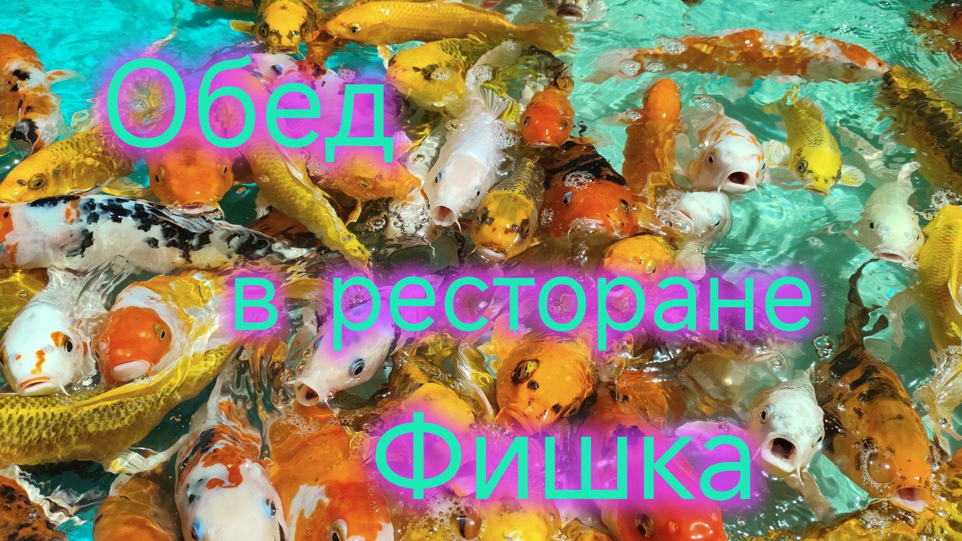 Прогуляли ДЕНЬГИ, которые копили на РЕМОНТ/Едим в РЕСТОРАНАХ/Контактный ЗООПАРК/Кемпинг смотреть онлайн