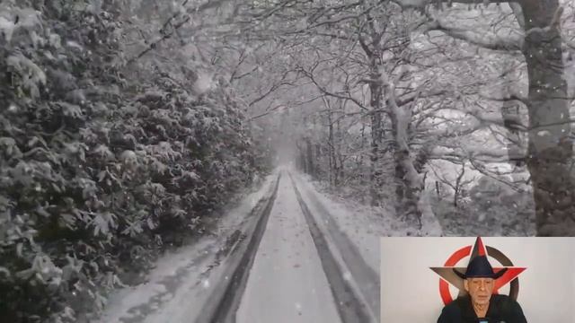 Змей. Этология ПРО : Выбрать Сторону, Когда Мир Рушится