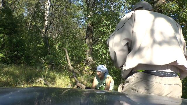 собранные грибы