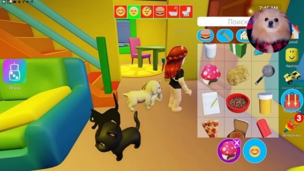 ВЕЧЕРИНКА КОТИКОВ ! НОВЫЙ ДОМ И ГИГАНТСКИЙ ДЖИП ! КАКАЮЩИЕ КОТИКИ В РОБЛОКС | PET PARTY ROBLOX