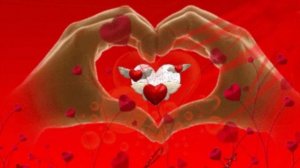 Сердце на двоих