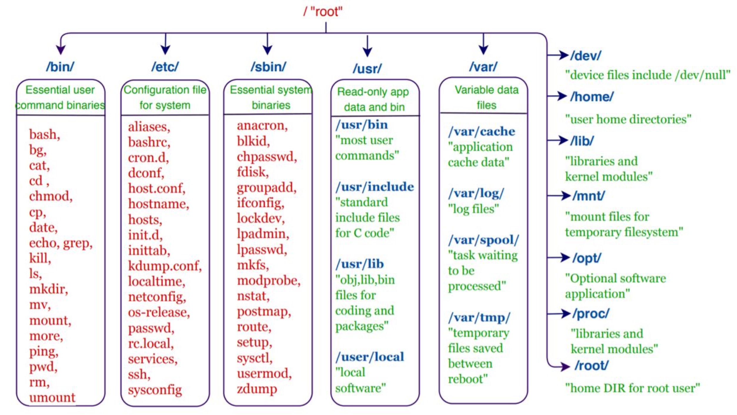 Структура файловой системы Linux от : до :usr | Основы Linux смотреть онлайн