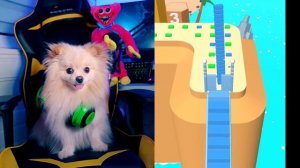 ЭВОЛЮЦИЯ МОСТА ! ПОСТРОЙ МОСТ И ДОБЕРИСЬ ПЕРВЫМ ДО ФИНИША | bridge race