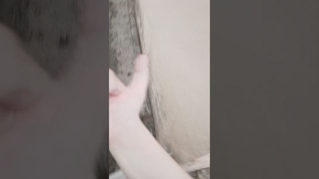 обзор на новых утят, проверяем что случилось со другими утятами и цыплятами, был дождь