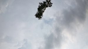 Inverded Orbit GEPRC Vapor D5 #FPV