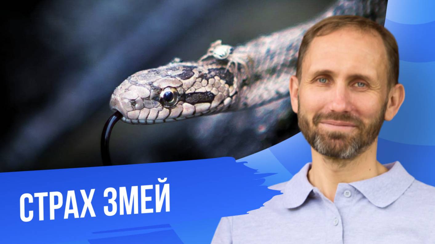 Демо сессия по экспозиции «Страх змей»