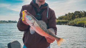 На рыбалку с Батей! Судак любит КИСЛОТУ! Как ловить судака летом.