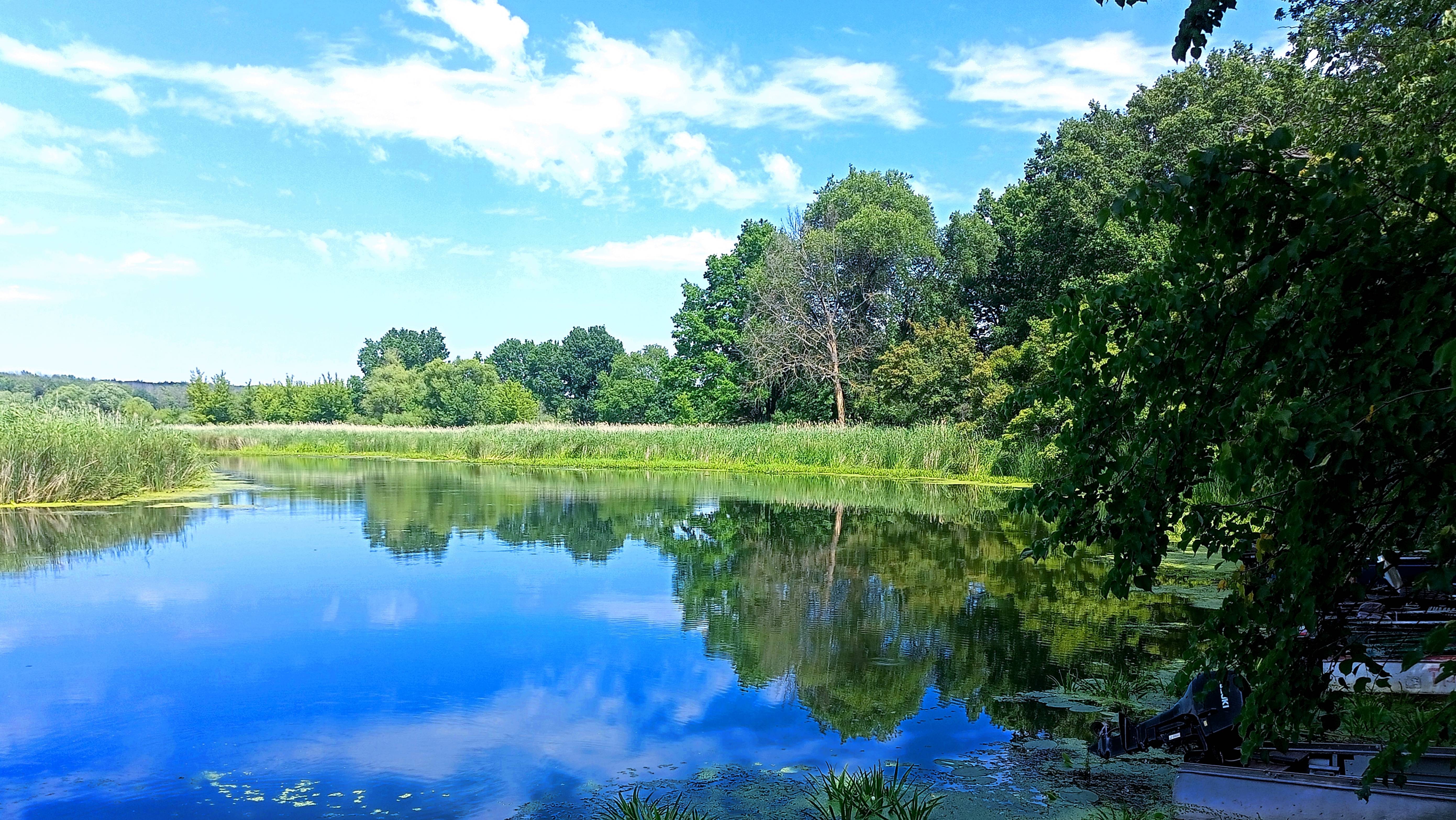 День Рыбака 2025 ч.2. смотреть онлайн