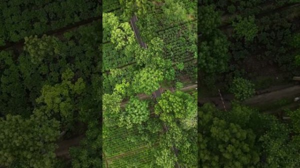 A-Razumovsky - Наизнанку