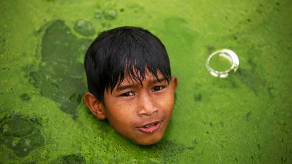 Стрим! Mithrandir Мьюзик