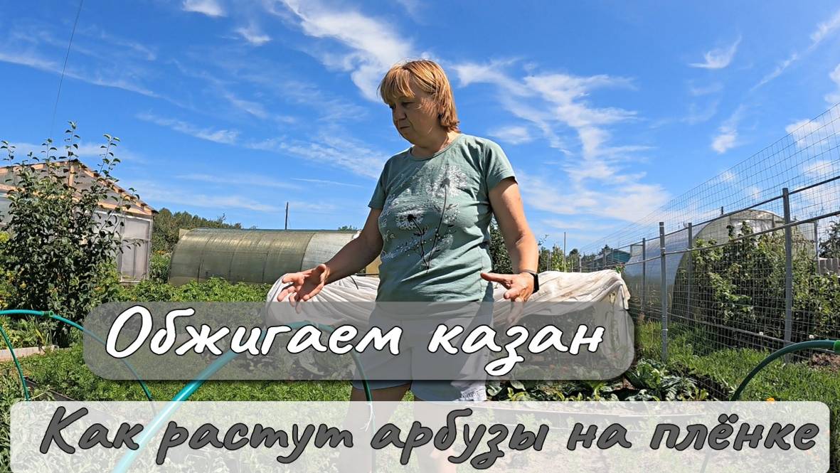 ОБЖИГАЕМ КАЗАН КАК РАСТУТ АРБУЗЫ НА ПЛЁНКЕ смотреть онлайн