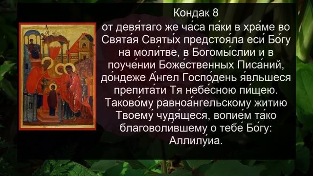 АКАФИСТ ВВЕДЕНИЮ ВО ХРАМ ПРЕСВЯТОЙ БОГОРОДИЦЫ смотреть онлайн