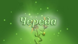 Лечебные свойства череды