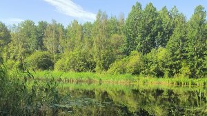 Рыбалка на Ладоге