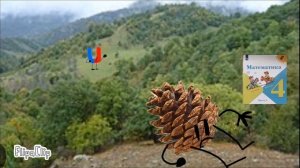 Т.О.Ш обжект шоу