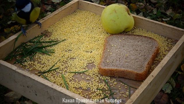 ИЗБРАННЫЕ ЦИТАТЫ СВЯТОГО АНТОНИЯ ВЕЛИКОГО смотреть онлайн