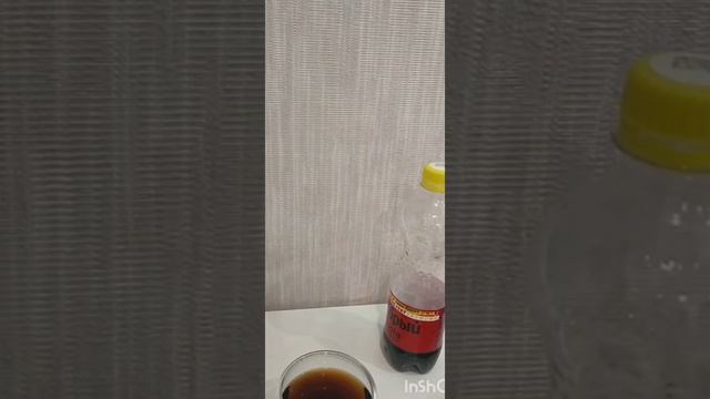 Мир Пушистиков