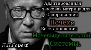 Адаптированная звуковая матрица для поддержки и оздоровления почек.