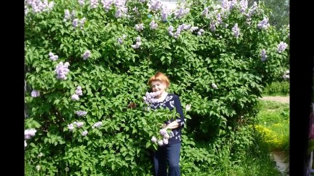 Навеки - Автор музыка и поют Сергей Любавин и Татьяна Буланова смотреть онлайн