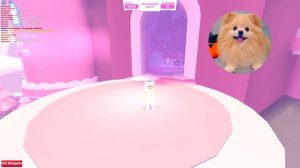 ГИГАНТСКИЙ АДВЕНТ КАЛЕНДАРЬ В АДОПТ МИ РОБЛОКС ! ADOPT ME CHRISTMAS ROBLOX