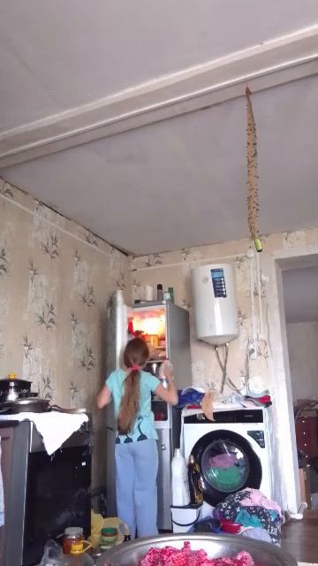 зая смотреть онлайн