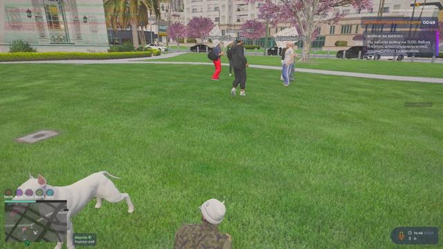 Grand Theft Auto V 2025.03.07 - 14.46.47.08.DVR - Trim