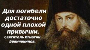 Больше бесов, бойся злых привычек. Воспитание хороших привычек. Святитель Игнатий Брянчанинов.
