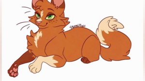 😹коты-воители в самолёте😹