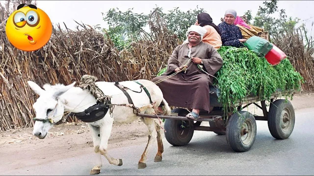 30 МИНУТ НЕВОЗМОЖНО 🤣 ОСТАНОВИТЬСЯ СМЕЯТЬСЯ САМЫЕ НЕЛЕПЫЕ И РЖАЧНЫЕ ПРИКОЛЫ 2025 УГАРНАЯ ПОДБОРКА