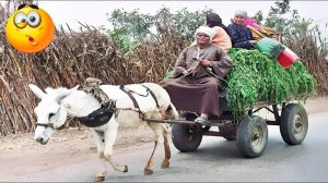 30 МИНУТ НЕВОЗМОЖНО 🤣 ОСТАНОВИТЬСЯ СМЕЯТЬСЯ САМЫЕ НЕЛЕПЫЕ И РЖАЧНЫЕ ПРИКОЛЫ 2025 УГАРНАЯ ПОДБОРКА