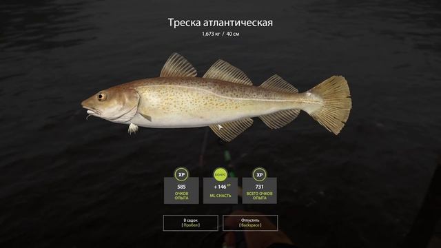 ТРЕСКА АТЛАНТИЧЕСКАЯ РУССКАЯ РЫБАЛКА 4 Pp4
