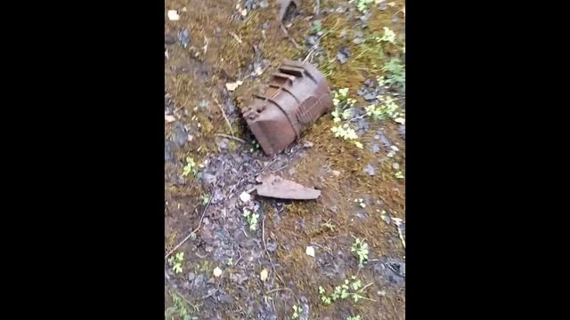 Запчасть НЛО в лесу UFO Part in the Forest смотреть онлайн