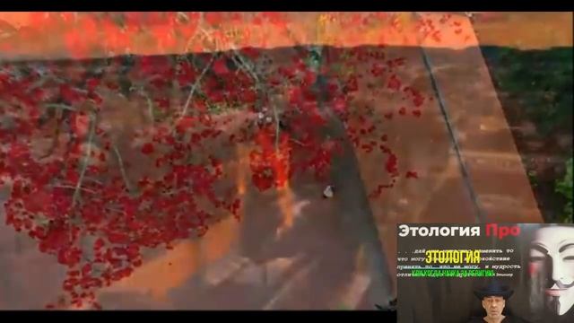 Этология ЗА Религиию : Люди создали богов (RR)