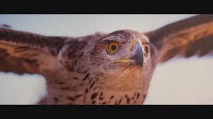 Сокрушить великих.