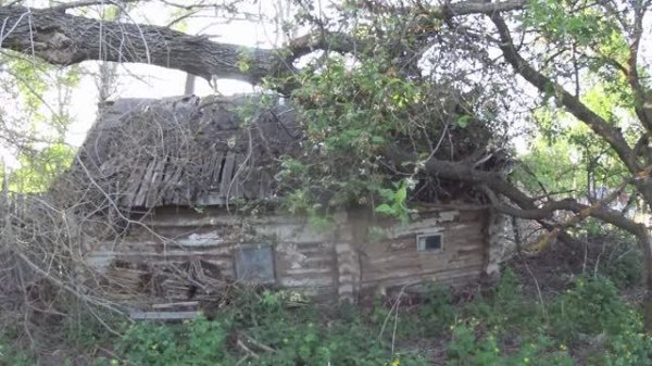 фазенда лайф