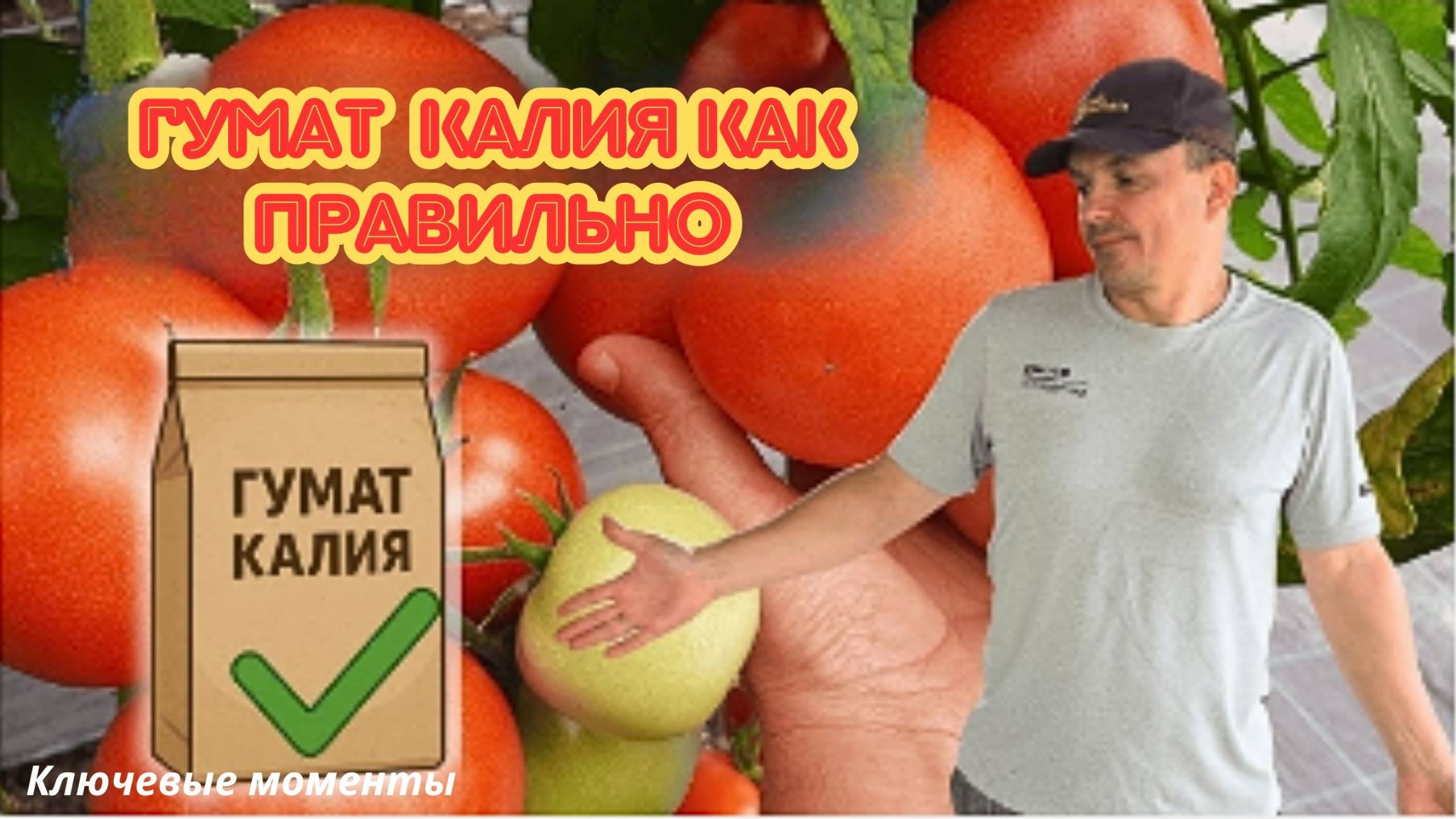 Гумат калия как добиться максимального эффекта. смотреть онлайн